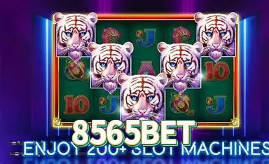 Aplicativo mobile 8565BET