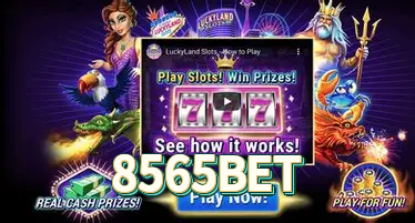 Estatísticas 8565BET