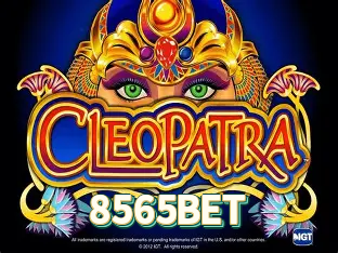 8565BET Aplicativo - 8565BET visual 2